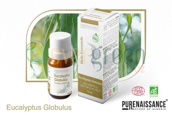 huile essentielle d'eucalyptus globulus flacon de 5ml