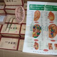 Alternative view of Kit d'auriculothérapie; 600 patches, carte démonstrative, modèle d'oreille, pince et stylet en cuivre